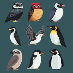 Fototapeta premium Cartoon owls and penguins diverse set of birds flat design vector icons