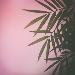 Fototapeta premium Tropical Palm Leaf Silhouette Against Soft Pink Background - Nature's Minimalist Beauty