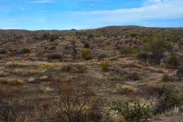 Salt River Recreation Area Arizona