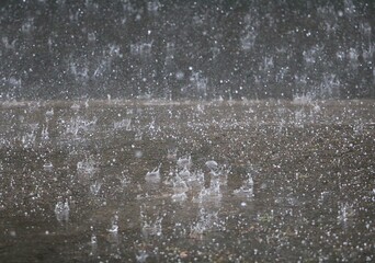 heavy rain falls on the street and splashes in the puddles