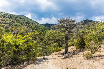 Views from the tourist mountain trail to Peak Cosmos on the Karaul-Oba mountain range on the Black Sea coast near the Golitsyn trail near  the village of Novy Svet, Crimea, Russia.