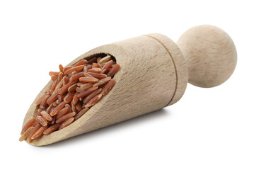 Raw brown rice in scoop isolated on white