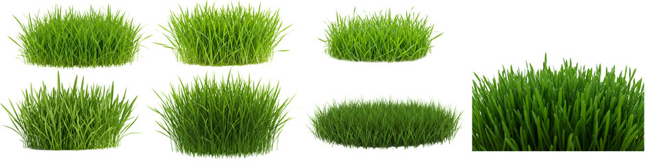 Obraz premium Lush green grass tufts for landscaping and decoration