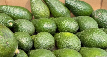 Large rifle green avocados harvested ready to eat are sold on supermarket shelves top view
