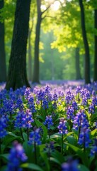 Dense bluebell display in sun-dappled woodland, photography, carpet