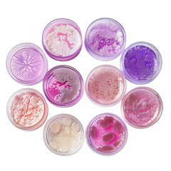 Colorful petri dishes with various textures and patterns showcase scientific experimentation and microbiology. vibrant hues of purple, pink, and beige create engaging visual display