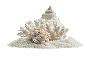 Close-Up of Calcium Carbonate (CaCO3) Particles in Sands Isolated on Transparent Background