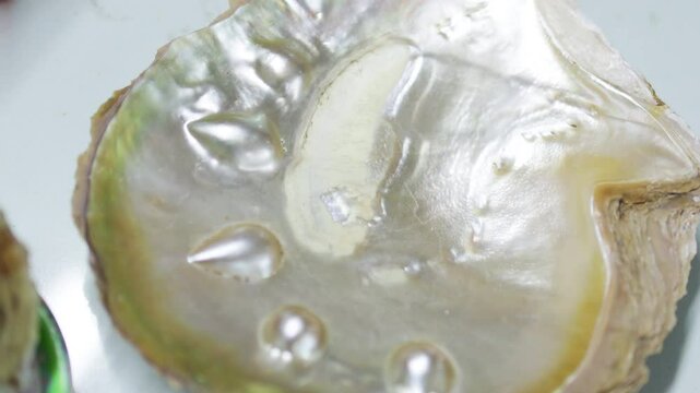 Mother of pearl surface of mollusk shell.