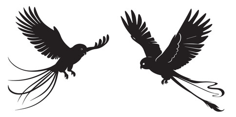 Two Black Silhouette Illustrations of Birds in Flight with Long Tail Feathers: Vector Graphic, Bird Silhouettes, Flying Birds, Wildlife Art, Avian Design Elements, Black and White, Isolated, Cutout, I