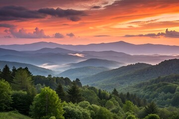 Breathtaking Sunset Over Misty Mountains and Lush Green Forests
