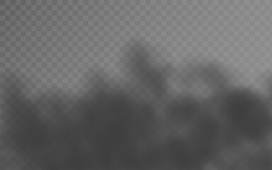 Vector realistic dark gray fog, smoke on transparent background
Realistic fog background, transparent background