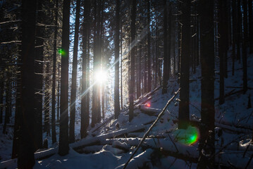 Fototapety na wymiar - Fototapeta24.pl