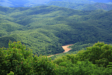 Scenery sea of mist at doi samer dao mountain in Si Nan National Park. Landmark of Nan province of Thailand 