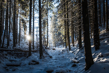 Fototapety na wymiar - Fototapeta24.pl