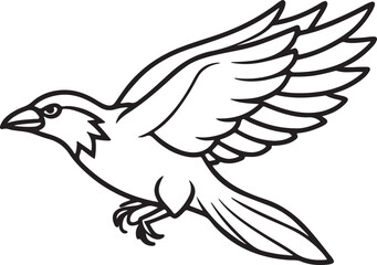 Obraz premium flying raven bird line art, black outline, vector and illustration, coloring book page line art drawing