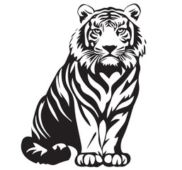 tiger on white background