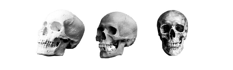 human skull model turned sideways isolated on white background  treat boo scary retro grunge halftone dotted texture vintage magazine style collage element for mixed media design