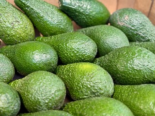 Large rifle green avocados harvested ready to eat are sold on supermarket shelves top view