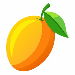 orange fruit isolated on white background