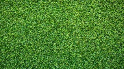 Fototapeta premium Close-up Green Grass Background for Outdoor Activities and Landscaping Projects