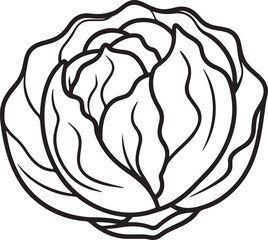 cabbage vegetable line art, black outline, vector and illustration, coloring book page line art drawing