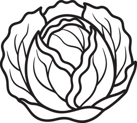 cabbage vegetable line art, black outline, vector and illustration, coloring book page line art drawing