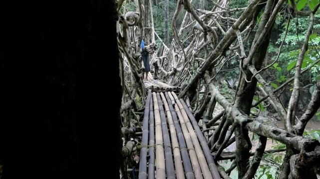 Detail of the root bridge in the interior of the Baduy tribe, made naturally from woven roots, tree trunks, and bamboo. This bridge crosses the clear Cisimeut River