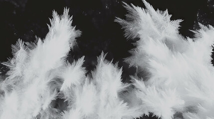 Fototapeta premium Intricate frost crystal texture overlay for winter designs