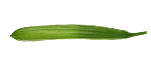 Brugmansia green bud, Angel's trumpet or devil's trumpets, (yellow flower) isolated on white, clipping path