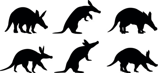 Collection silhouette Aardvark, Orycteropus on a white isolated