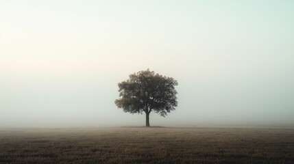 A single tree standing alone in a vast foggy landscape
