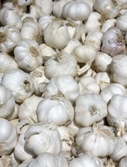 Close-up of fresh garlic bulbs piled up. Onions have a smooth, white, papery skin with several peeling layers that reveal the cloves inside. The stems are trimmed and the texture is slightly rough.