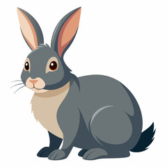 vector illustration of a rabbit