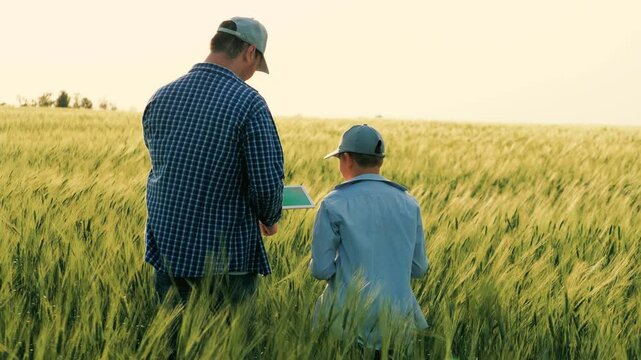 child kid baby son boy with father farmer working wheat field, agriculture, farmer with tablet inspecting wheat ripening field, family farming business, little son child helping father farmer green