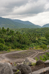 mountain road in the mountains