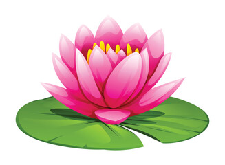 Pink water lily flower on lily pad. Vector cartoon illustration © YG Studio