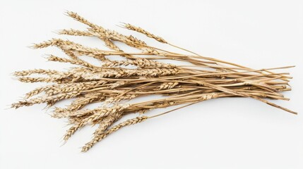 Golden wheat stalks arranged neatly against a light backdrop showcasing natural textures and agricultural elements in a minimalist presentation
