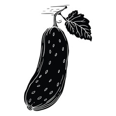 Hand drawing style of cucumber vector. It is suitable for vegetables icon, sign or symbol.