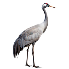 Crane AI Generated Image