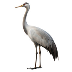 Fototapeta premium Crane AI Generated Image