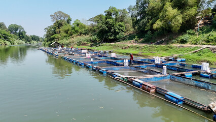 Aquaculture, Bay of Water, Blue, Business, Catch of Fish