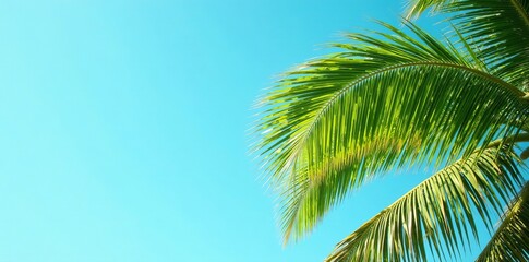 Fototapeta premium Lush palm fronds swaying in the wind against clear blue sky, lush, tranquil, oasis