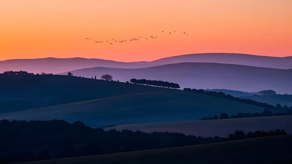 Fototapeta premium a gradient sunset over rolling hills with silhouettes of trees and birds flying across the horizon.