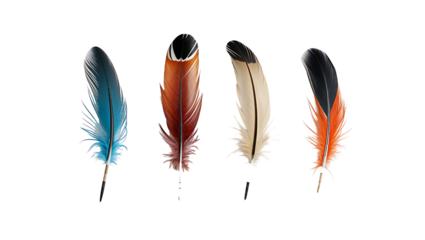 Realistic feather collection featuring unique colors and textures, turquoise to golden orange, in a medium shot with high detail on black background