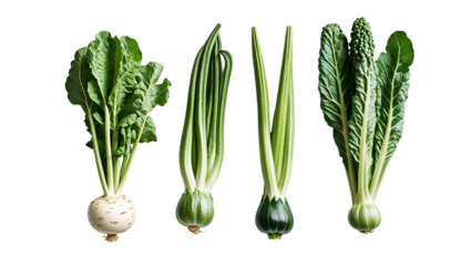 Assorted leafy green vegetables including turnip, bok choy, leek, and broccoli, fresh and crisp with high contrast on transparent background