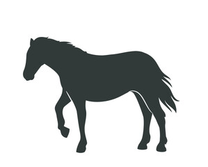 Horse silhouette. Black icon or sticker with noble beautiful stallion grazing and walking. Wild Racehorse. Flat vector illustration isolated on white background