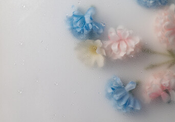 Top view closeup of different flowers with soft blur and waterdrops background,Abstract Nature blur background.