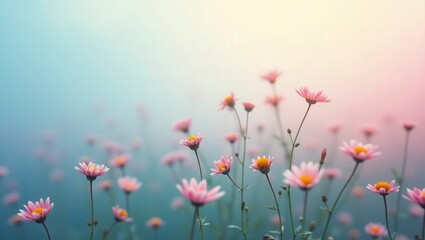 Obraz premium Pastel Daisy Dreamscape