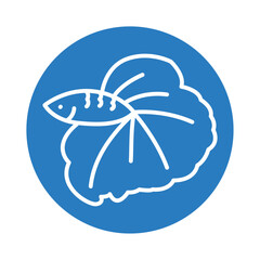 Betta (Siamese cockerel) color line icon. Tropical fish