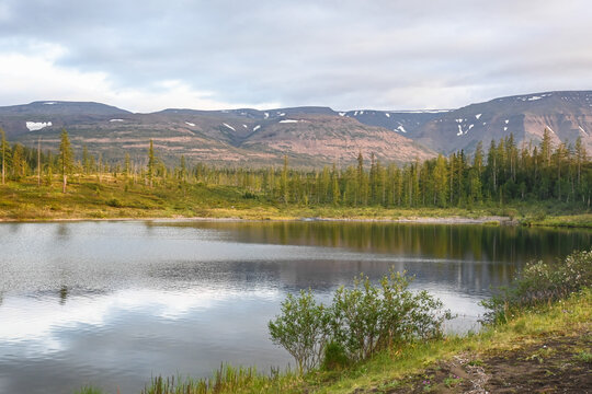 In summer on the Putorana plateau.